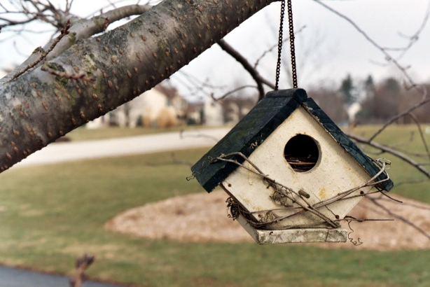 Birdhouse.