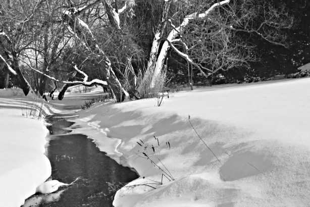 Snowy stream.
