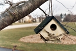 Birdhouse.
